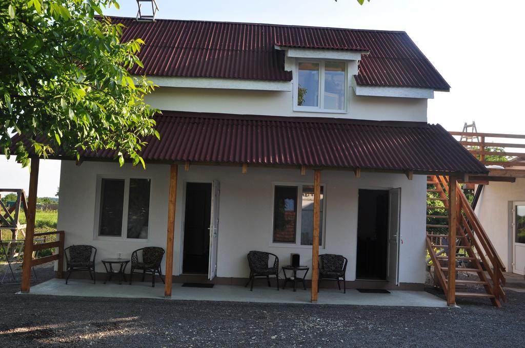 Villa Elena Яноші Екстер'єр фото